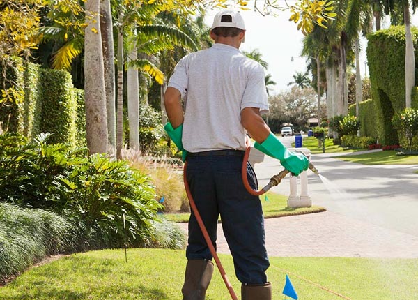 About Avon MN Pest Control Pros